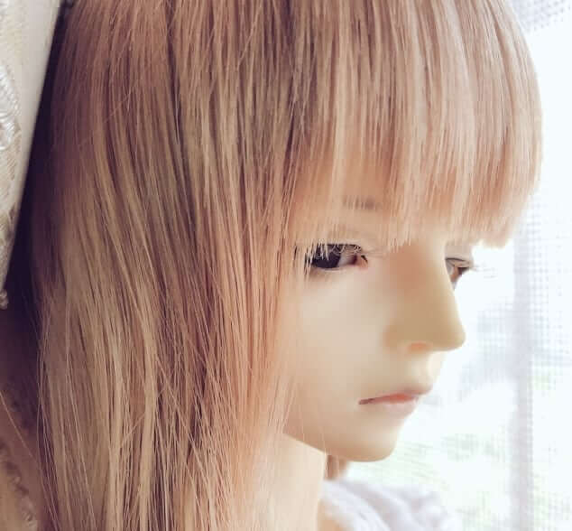 キクノ
